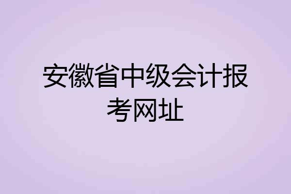 安徽省中级会计报考网址