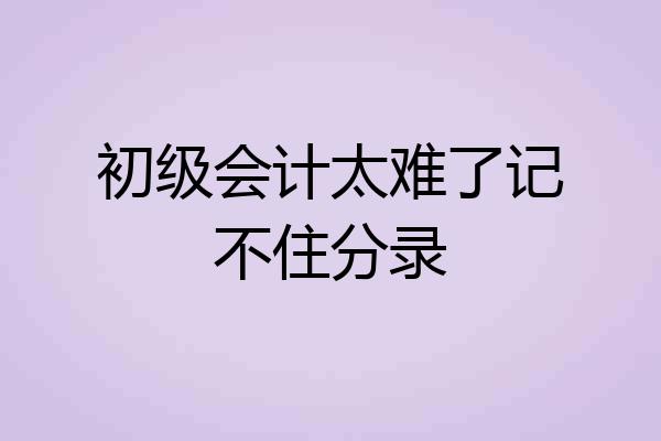初级会计太难了记不住分录
