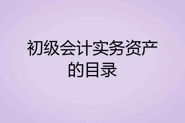 初级会计实务资产的目录