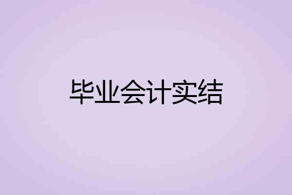 毕业会计实结