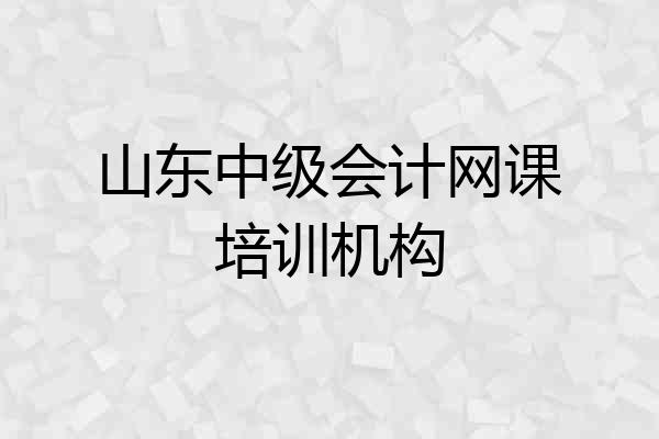 山东中级会计网课培训机构