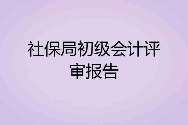 社保局初级会计评审报告