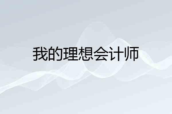 我的理想会计师
