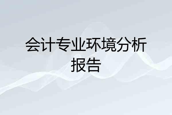 会计专业环境分析报告