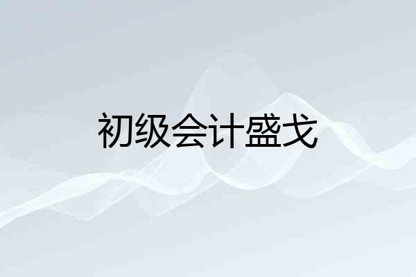 初级会计盛戈
