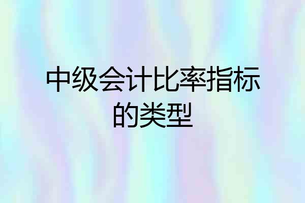 中级会计比率指标的类型