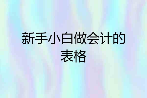 新手小白做会计的表格