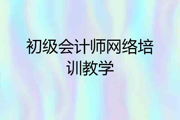 初级会计师网络培训教学