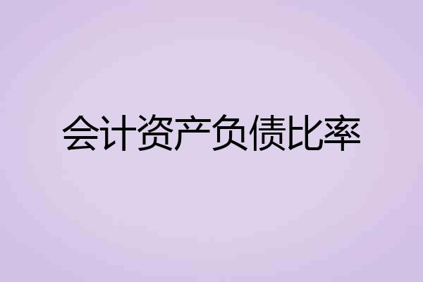 会计资产负债比率