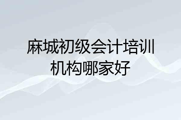 麻城初级会计培训机构哪家好