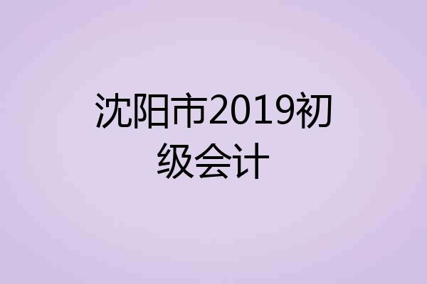 沈阳市2019初级会计