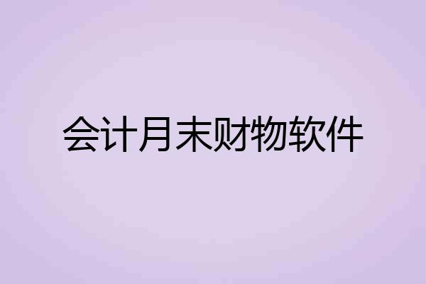 会计月末财物软件