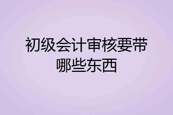 初级会计审核要带哪些东西
