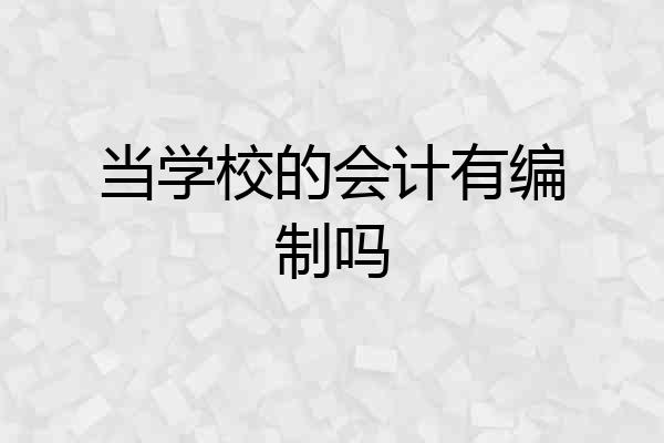 当学校的会计有编制吗