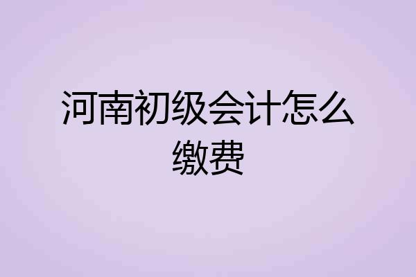 河南初级会计怎么缴费