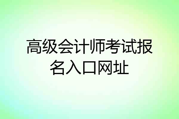 高级会计师考试报名入口网址