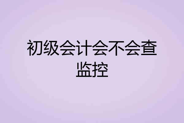 初级会计会不会查监控