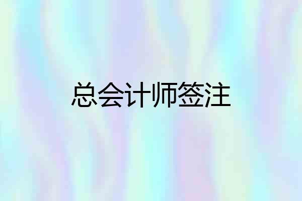 总会计师签注