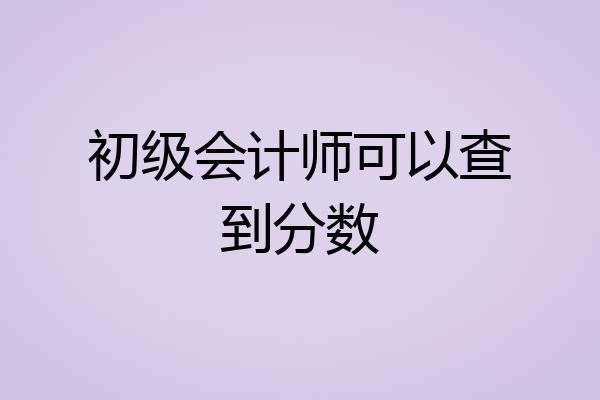 初级会计师可以查到分数