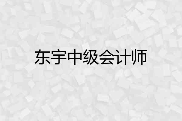 东宇中级会计师