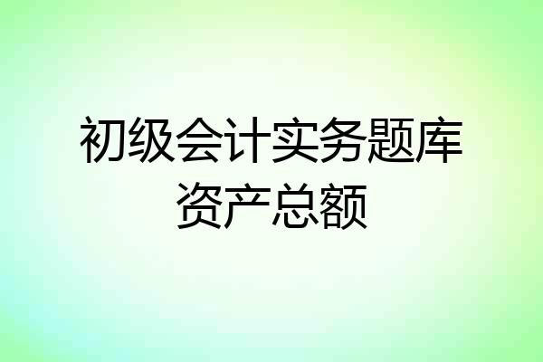 初级会计实务题库资产总额