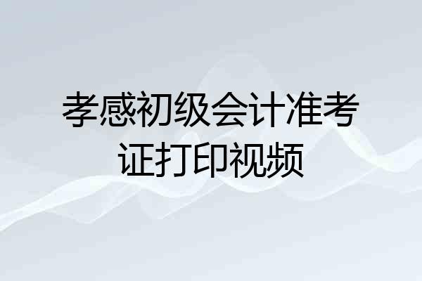 孝感初级会计准考证打印视频