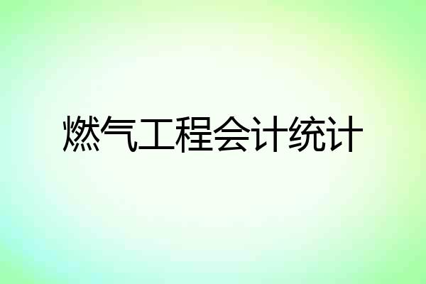 燃气工程会计统计