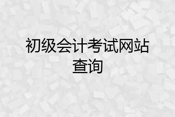 初级会计考试网站查询