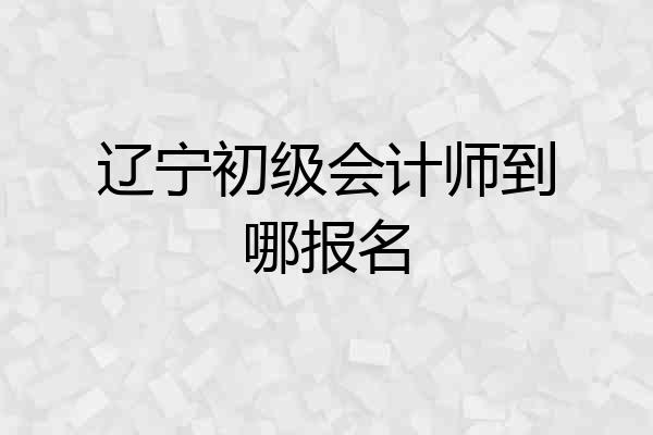 辽宁初级会计师到哪报名