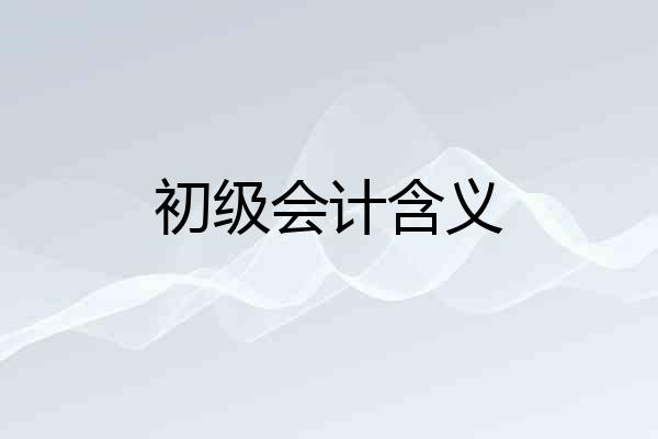 初级会计含义