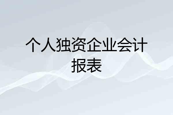 个人独资企业会计报表