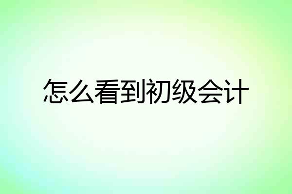 怎么看到初级会计