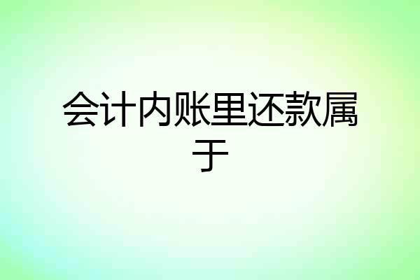 会计内账里还款属于