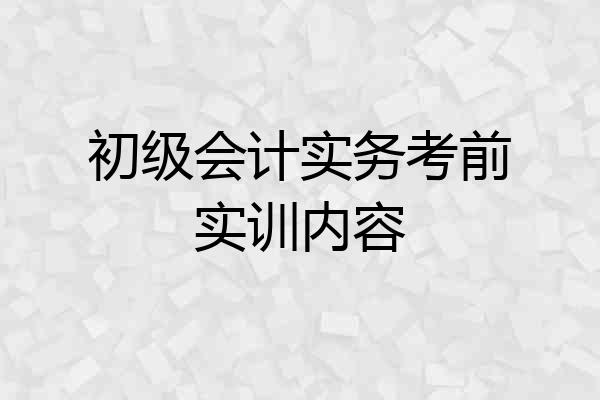 初级会计实务考前实训内容