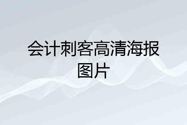 会计刺客高清海报图片
