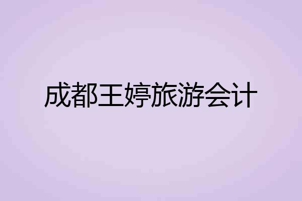 成都王婷旅游会计