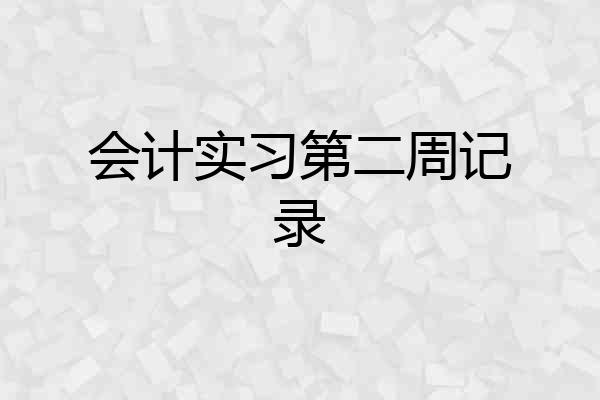 会计实习第二周记录