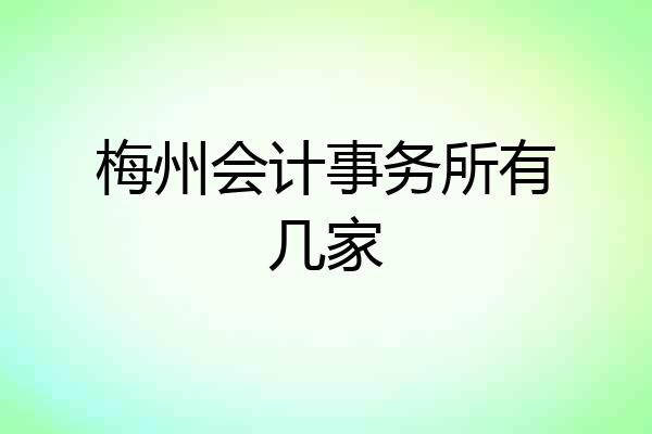 梅州会计事务所有几家