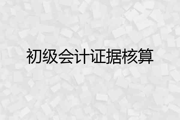 初级会计证据核算