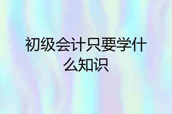 初级会计只要学什么知识