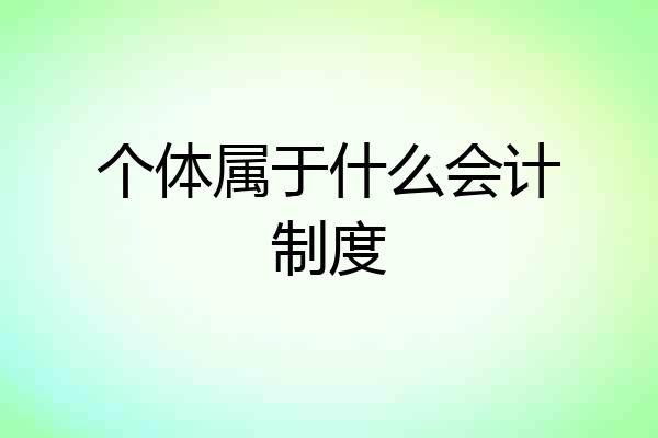 个体属于什么会计制度