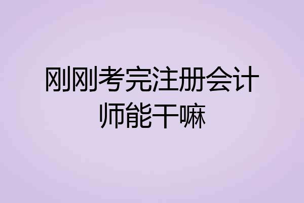 刚刚考完注册会计师能干嘛