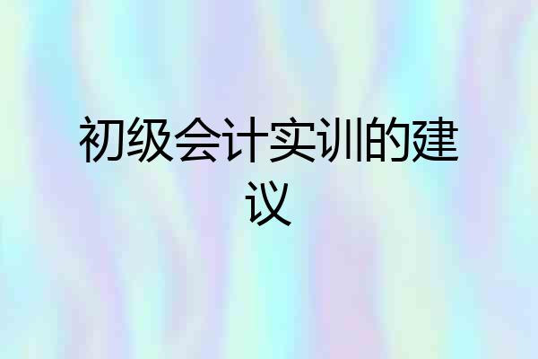 初级会计实训的建议