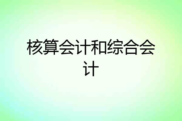 核算会计和综合会计