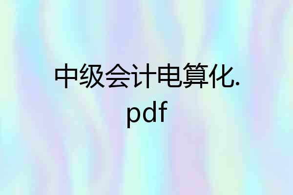 中级会计电算化.pdf