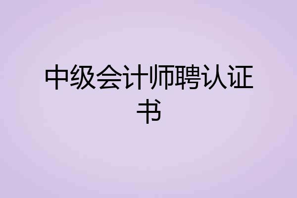 中级会计师聘认证书