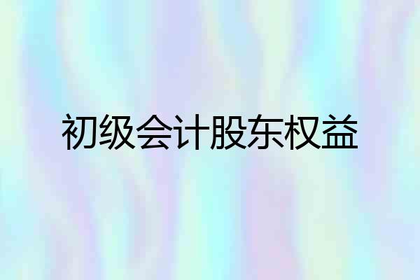 初级会计股东权益