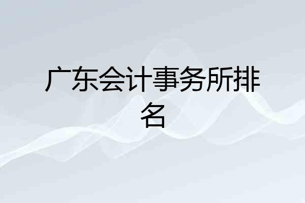 广东会计事务所排名