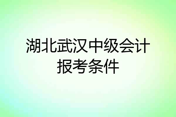 湖北武汉中级会计报考条件