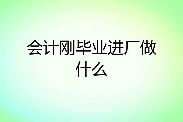 会计刚毕业进厂做什么